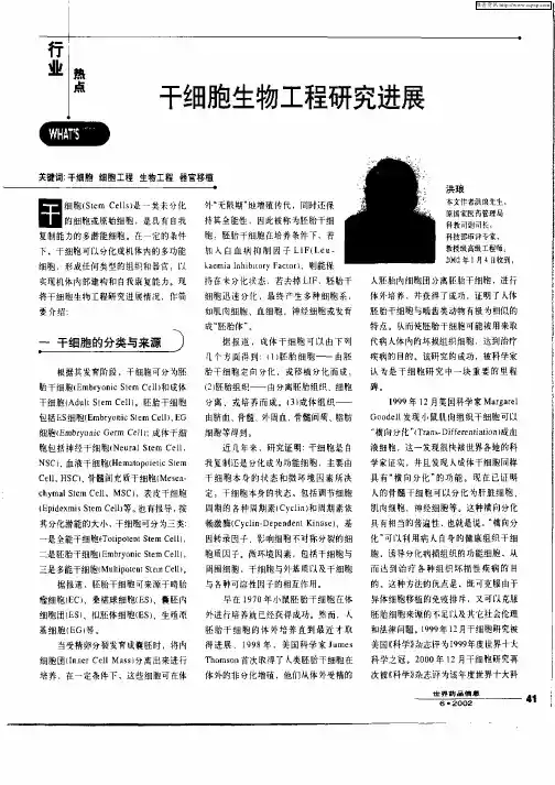 干细胞生物工程研究进展