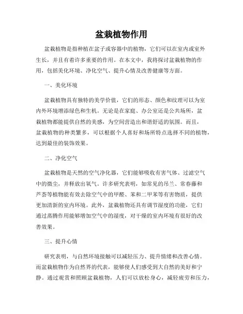 盆栽植物作用