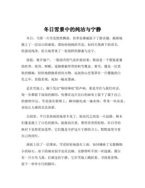 冬日雪景中的纯洁与宁静