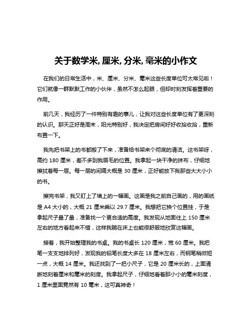 关于数学米,厘米,分米,毫米的小作文
