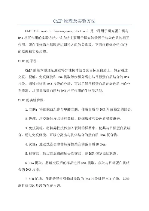 ChIP原理及实验方法