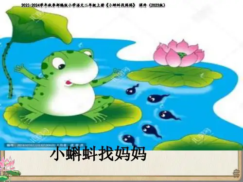 小蝌蚪找妈妈   课件(共17张PPT)