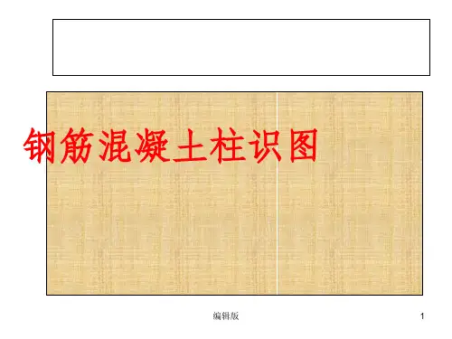 结构识图--柱PPT课件