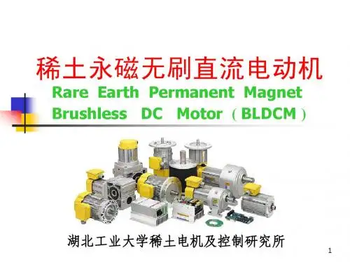 BLDC_Motor稀土永磁无刷直流电动机