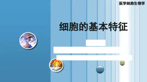 细胞的基本特征