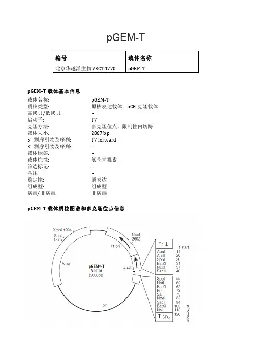 pGEM-T大肠杆菌表达载体说明