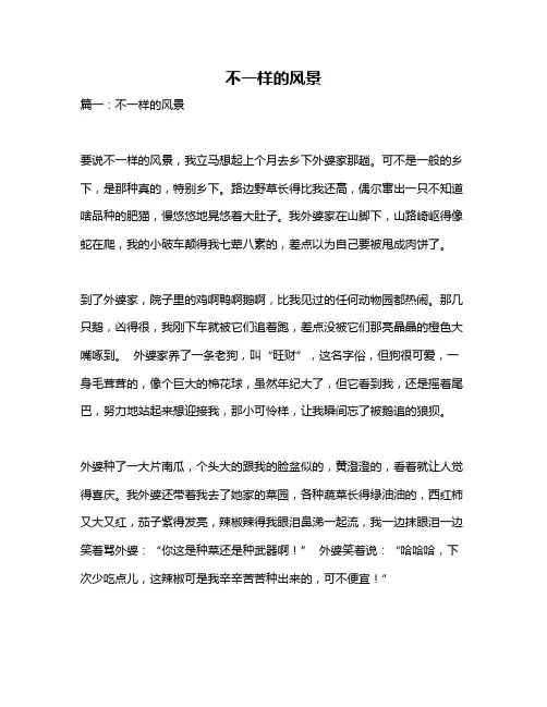 作文《不一样的风景》