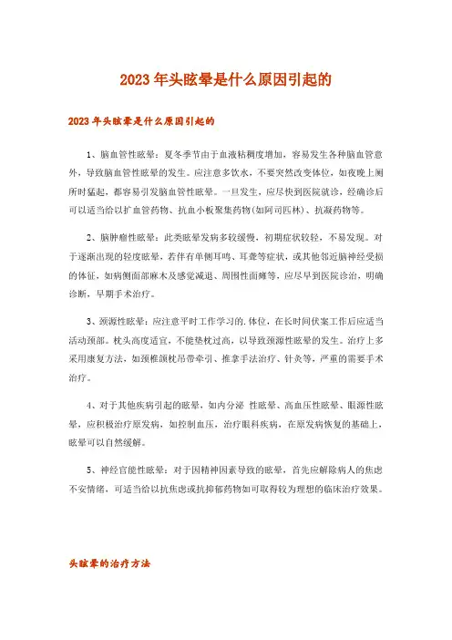 2023年头眩晕是什么原因引起的