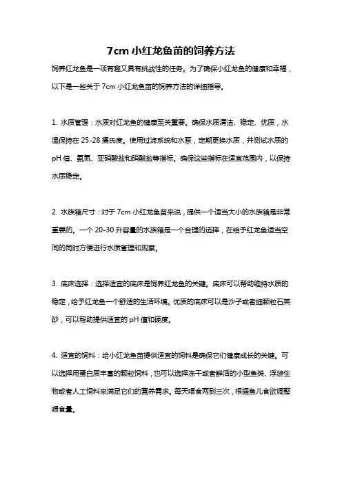 7cm小红龙鱼苗的饲养方法
