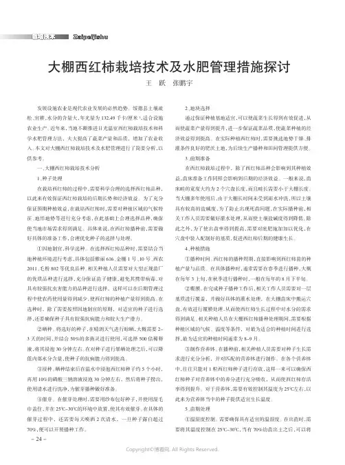 大棚西红柿栽培技术及水肥管理措施探讨