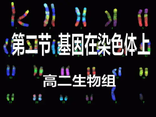 伴性遗传+人类遗传病ppt课件