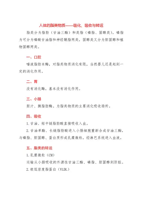 人体的脂类物质——消化、吸收与转运