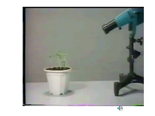 植物生长素发现史