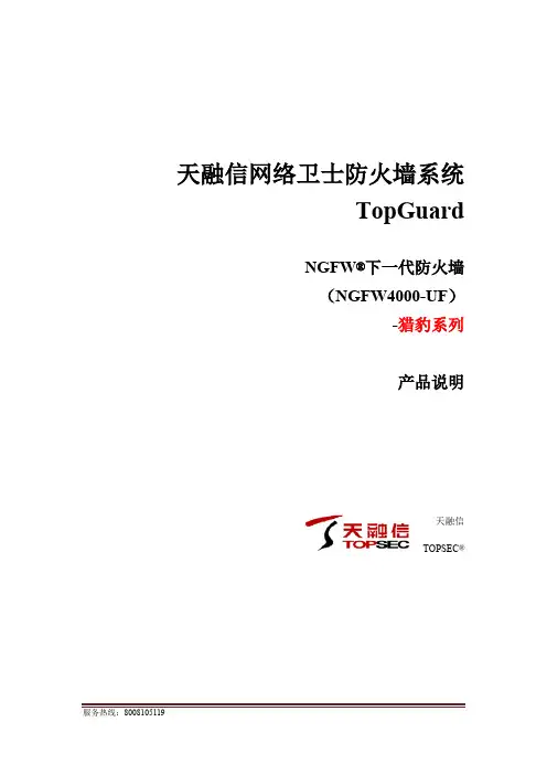 天融信NGFW系列防火墙-猎豹(万兆)产品说明