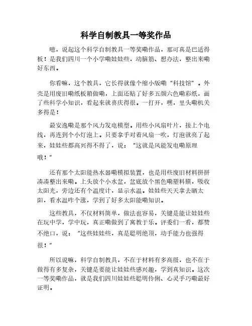 科学类自制教具一等奖作品