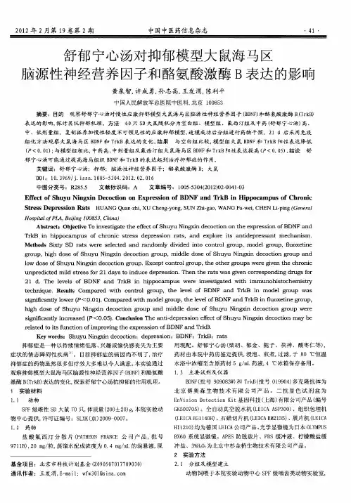 舒郁宁心汤对抑郁模型大鼠海马区脑源性神经营养因子和酪氨酸激酶B表达的影响