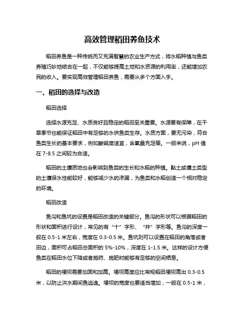 高效管理稻田养鱼技术