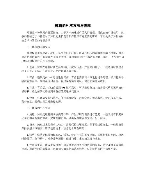 辣椒的种植方法与管理