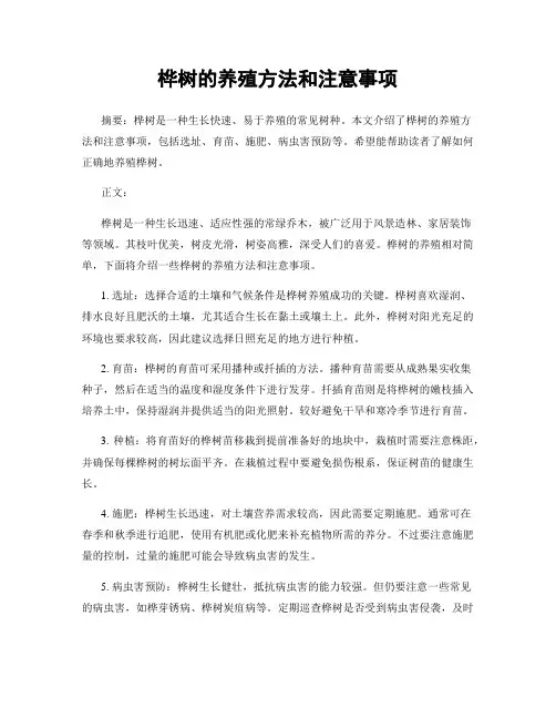 桦树的养殖方法和注意事项