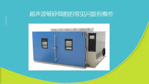 超声波破碎细胞的常见问题有哪些