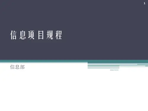 信息化项目规程流程图