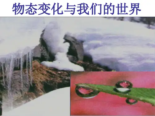 教科版物理物态变化课件