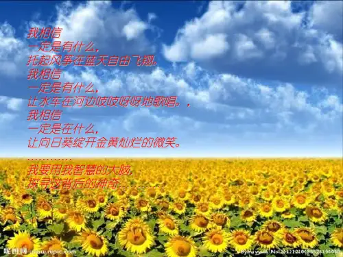 _苏教版小学科学六年级下册《各种各样的能量》PPT课件