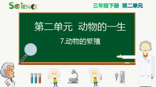 最新教科版三年级科学下册《动物的繁殖》精品教学课件