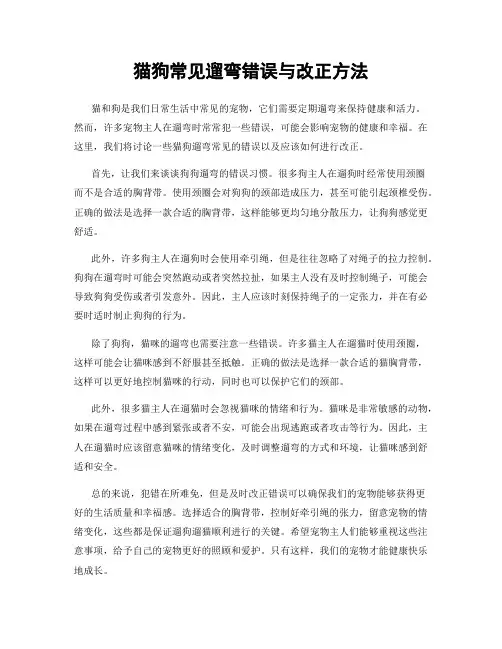 猫狗常见遛弯错误与改正方法