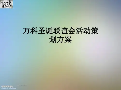 万科圣诞联谊会活动策划方案