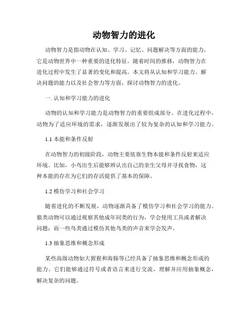 动物智力的进化