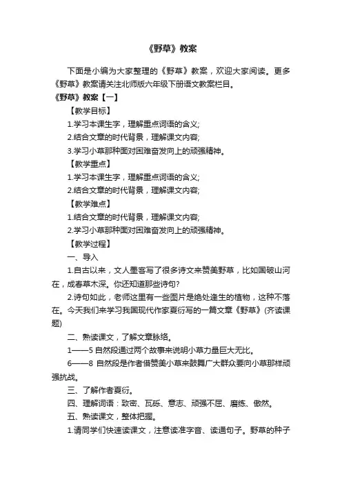 《野草》教案