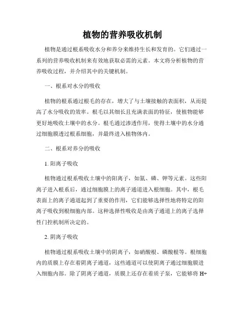 植物的营养吸收机制