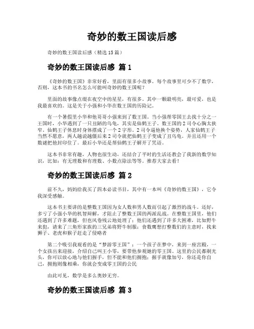 奇妙的数王国读后感