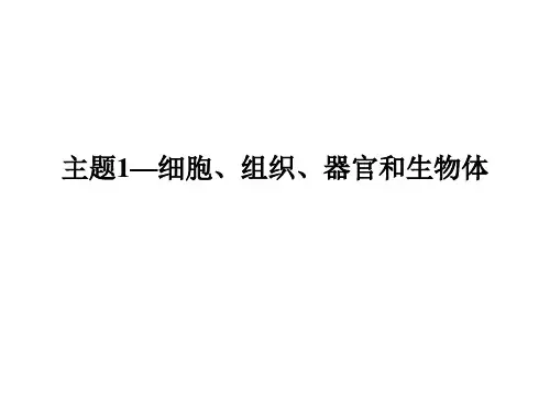 组织、器官和系统PPT课件(初中科学)
