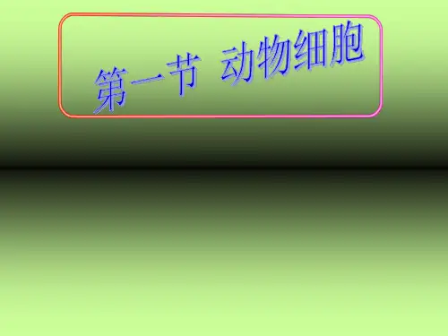 动物细胞构造