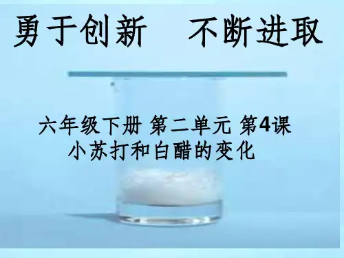 小苏打和白醋的变化的实验创新ppt课件