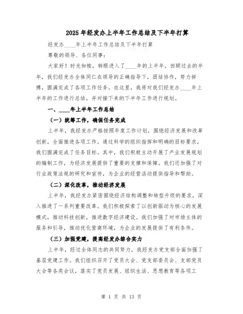 2025年经发办上半年工作总结及下半年打算（六篇）