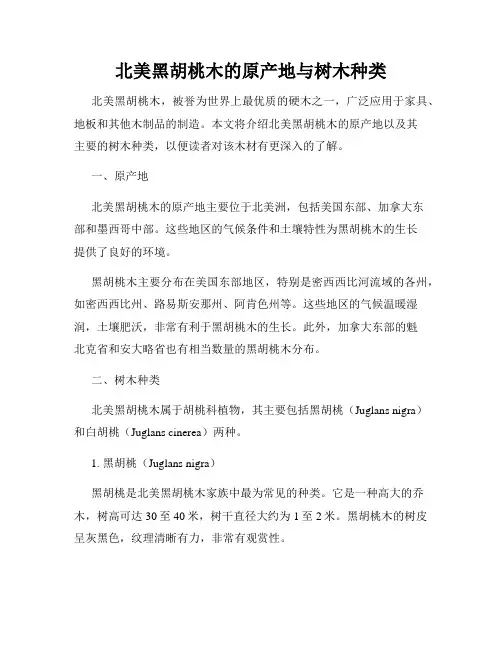 北美黑胡桃木的原产地与树木种类