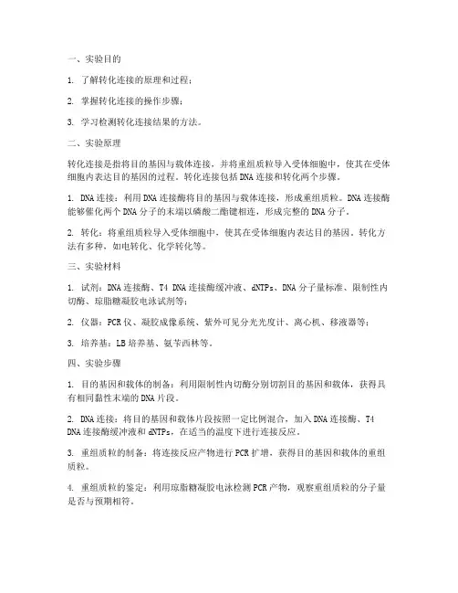 转化连接实验报告