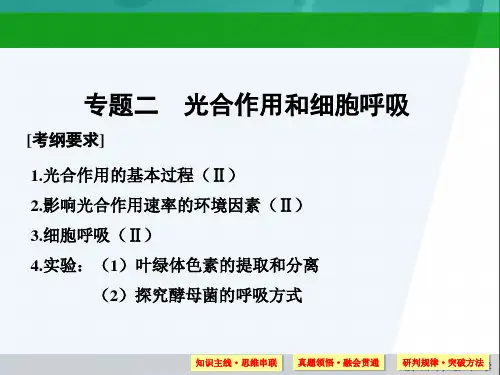 高三生物二轮复习课件第2单元-2-光合作用和细胞呼吸