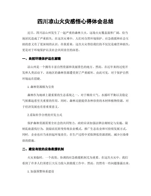 四川凉山火灾感悟心得体会总结