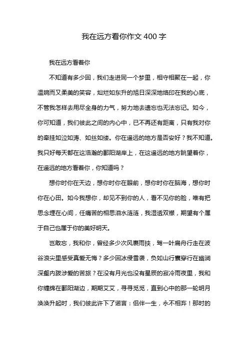 我在远方看你作文400字