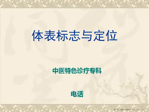体表标志与定位