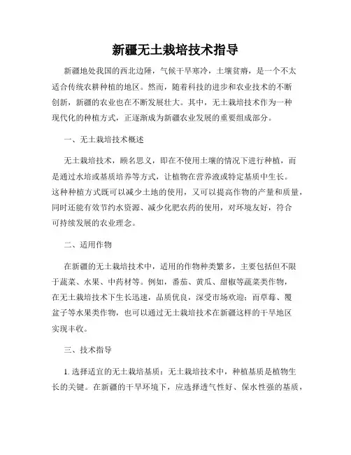 新疆无土栽培技术指导