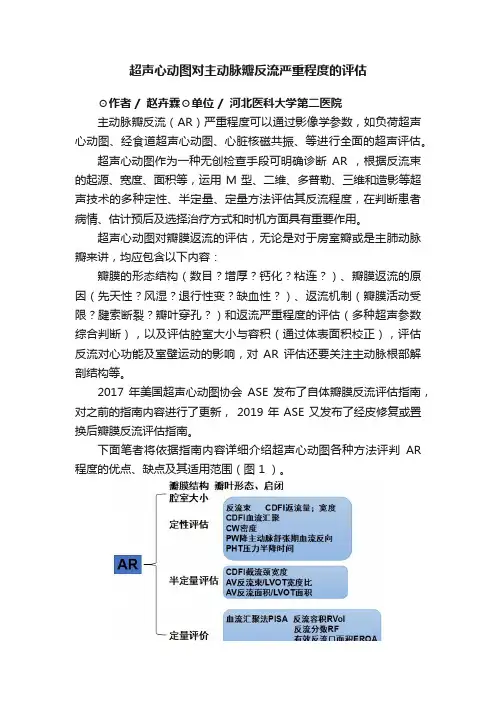 超声心动图对主动脉瓣反流严重程度的评估