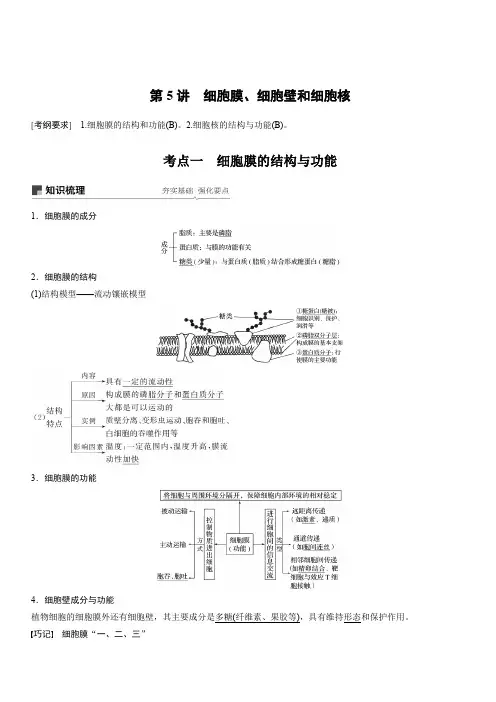 2020版高考生物新导学大一轮苏教江苏专用讲义：第二单元细胞的结构和功能第5讲含解析