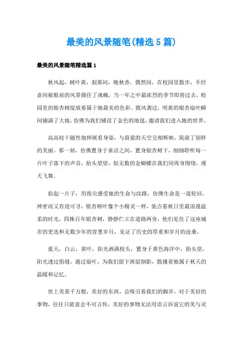 最美的风景随笔(精选5篇)