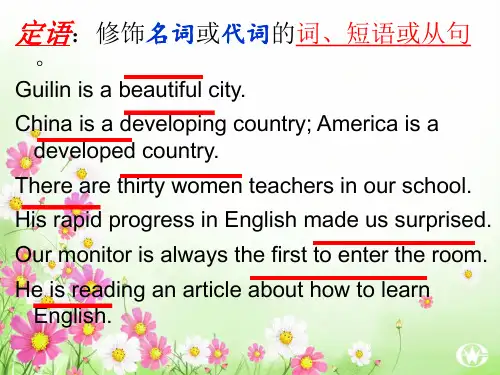 定语从句基本概念PPT课件