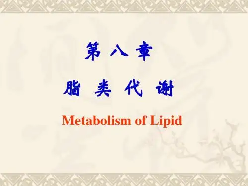 生物化学8 脂代谢